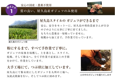 口コミ：屋久島の伝統ウコン〜屋久島ガジュツ(紫ウコン)の画像（6枚目）