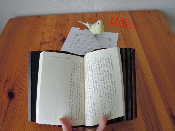 口コミ：モニプラ☆『amorph 本当に本を護るブックカバー』＆ルルメルのホワイトデー♪の画像（6枚目）
