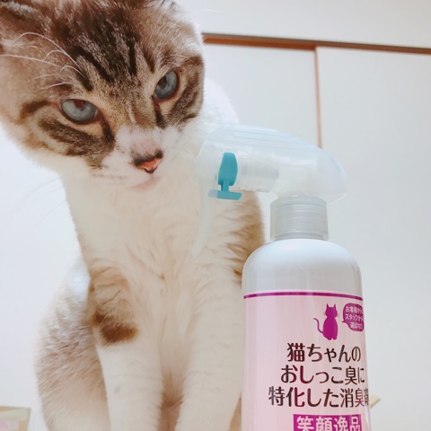 口コミ：猫ちゃんのおしっこ臭に特化した消臭剤 ✐☡の画像（2枚目）