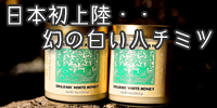 日本初上陸!幻の白いハチミツ!