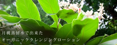 satamisaki organics/佐多岬石けん株式会社