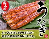 < お歳暮 ギフト 秋の丑の日 にもおすすめ>スタミナ満点甲佐うなぎ★