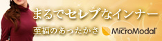 マイクロモダール