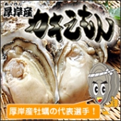 厚岸漁協直送 特選 カキえもん（生食用殻付牡蠣）