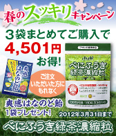 春のスッキリキャンペーン☆べにふうき緑茶濃縮粒3袋セット