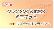 PHYT’S ミニキット
