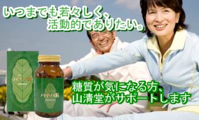 グルコサミン コンドロイチン 関節痛 バナバ 糖尿病 血糖値を下げる ダイエット