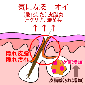 ノンシャンプー ノンシリコン ヘアケア ★ノンプー2ステップ★