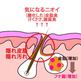お肌と毛穴のために・・・ZELoノンシリコン デオドラント