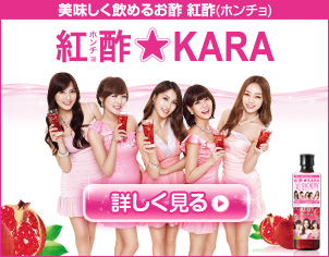 紅酢(ホンチョ)★KARA紹介ページ