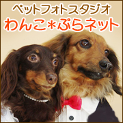 ペットフォトスタジオ わんこ*ぷらネット