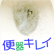 【便器キレイ】DIYガラスコーティングキット