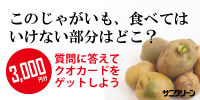 <モニプラ>サニクリーンページ