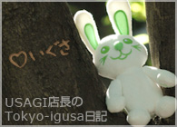 おもしろい!かわいい!USAGI店長(うさぎ店長)のブログ