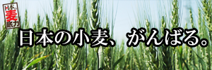 日本の麦の底力