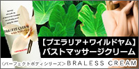 ランキング入り!バストマッサージクリーム【ブラレスクリーム】