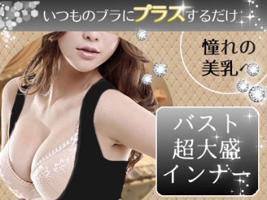 ★大好評★手持ちのブラに着けるだけで、2サイズ盛れる♪