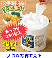 天然成分スマッシュクリーン(ウエットタイプ)