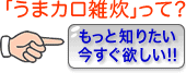 「燃効うまカロ雑炊」って？