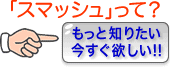 スマッシュクリーン(ウエットタイプ)って?