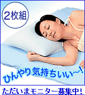 石川絹綿ニューアイスボディー枕カバー：アイスブルー（２枚組）