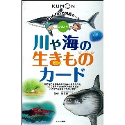 くもんのオリジナル教具『自然図鑑 川や海の生きものカード』