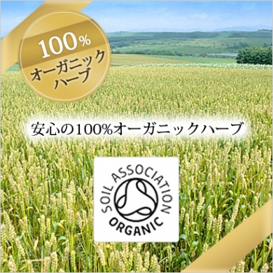 エルダーフラワー~オーガニックハーブ~