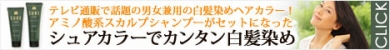 髪と頭皮をいたわりながらゆっくりさりげなく黒髪に『シュアカラー』