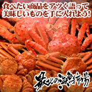 ノース物産株式会社