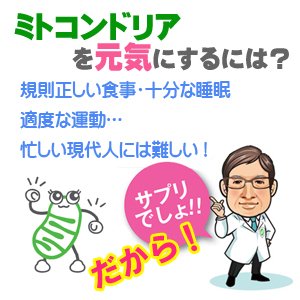 【ミトコンドリア】ミトコンサプリP3【元気ですか?】