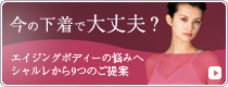 ̉őv?V GCWO{fB[ir