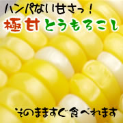 川越達也シェフがレストランで使う極甘とうもろこし！人気のため予約販売中！