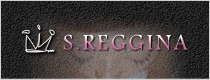 【つけまつげS.REGGINA】軽い・柔らかい!ミンクのつけまつげ