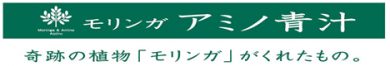 モリンガアミノ青汁