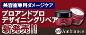 美容室専用 「プロアンドプロ デザイニングリペア」新発売!