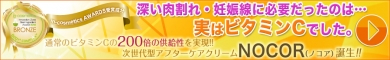ノコア(NOCOR)妊娠線を消したい人専用クリーム