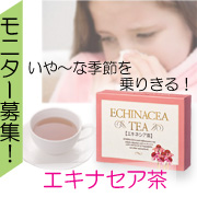 バレンタインデーには、万全の体調で!エキナセア(エキネシア)茶モニター募集