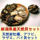 【越後村上うおやの逸品】新潟県笹川流れの天然の岩牡蠣