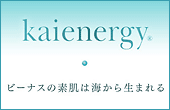 カイエナジーのHPはこちら…♪♪♪