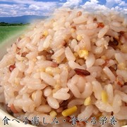 楽天2009年上半期雑穀ランキング第一位★国内産２１雑穀米