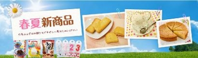 【共立食品】2011春夏新商品