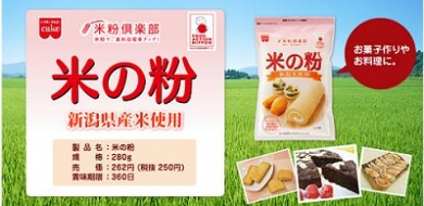 共立食品 米の粉