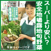 有機家の安全わけあり野菜（無農薬野菜）