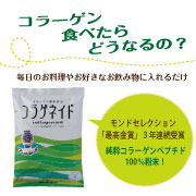 純粋コラーゲンペプチド100%粉末★コラゲネイド