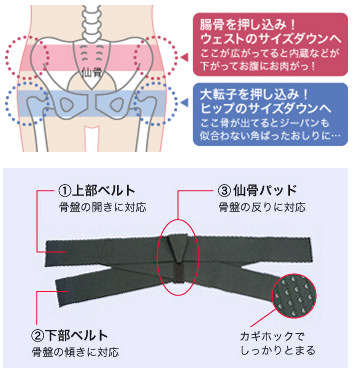 ★大人気!骨盤ウォーカーベルト★骨盤ダイエットでウエストサイズダウン♪
