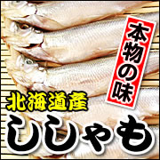 北海道 味わい楽座（あじらく） 北海道産本ししゃも