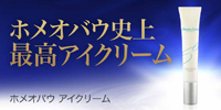 株式会社サンライズジャパン