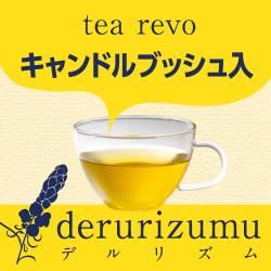 楽天市場にてキャンドルブッシュ発売中