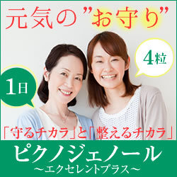 ピクノジェノールで元気に