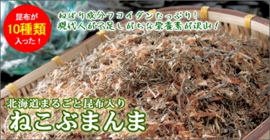 北海道 まるごと昆布入り 新ねこぶまんま